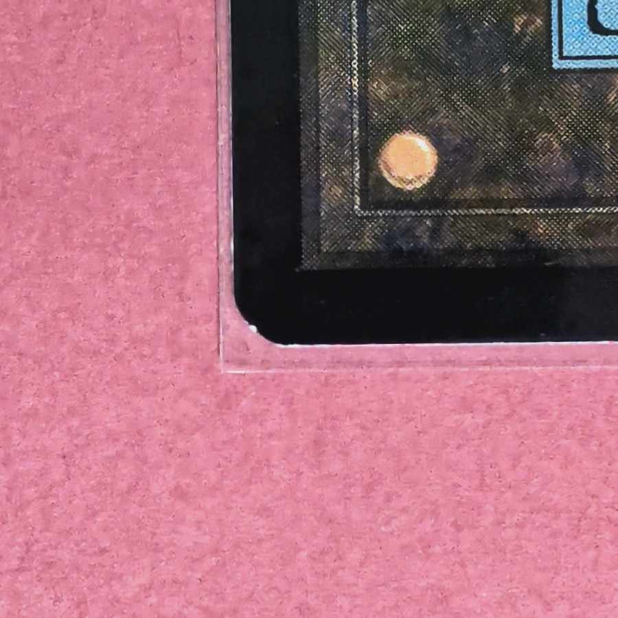 Temple Garden Rare 248/274 1枚