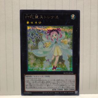 六花聖ストレナエ　シク　シークレット　ライズオブザデュエリスト　マホ子