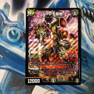 ドマンモ龍樹 1枚