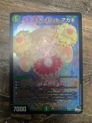 Cheer Scarlet Whitney SR S8/S8