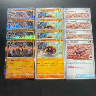 Old Koura fossil Kabuto Kabutops Evolution line