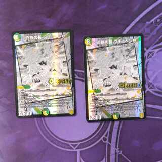 百族の長 プチョヘンザ