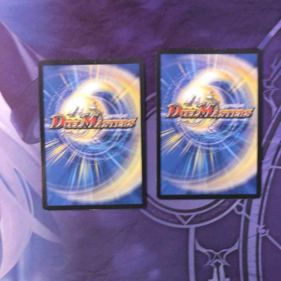 百族の長 プチョヘンザ