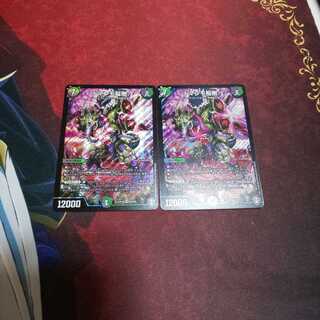 ドマンモ龍樹 ２枚セット