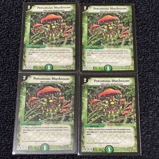 シビレアシダケ 英語版