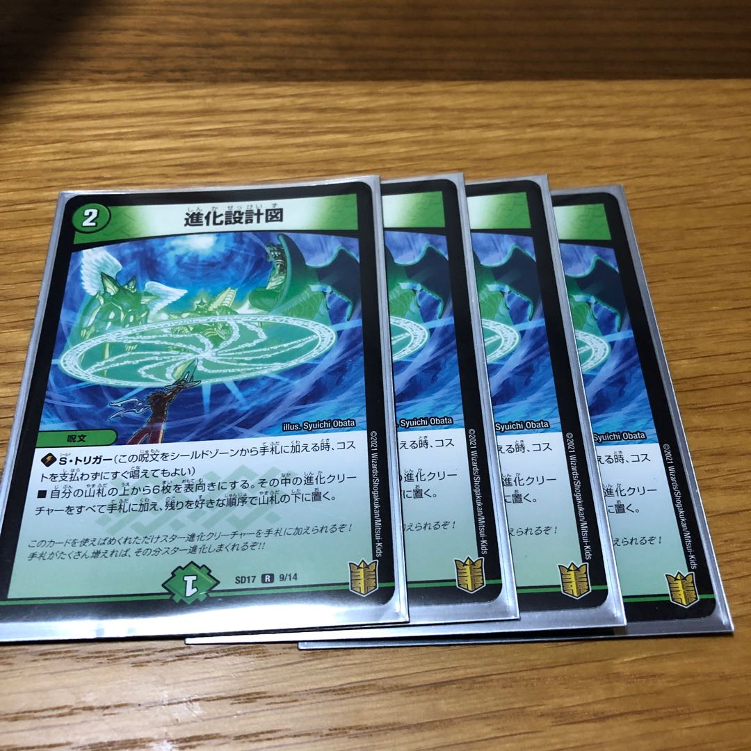 進化設計図 R-foil 9/14