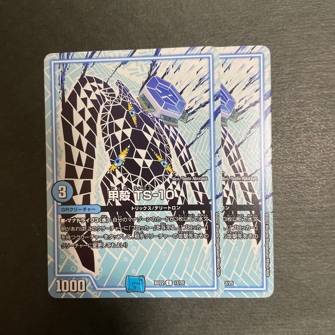 甲殻 TS-10 C 12/25