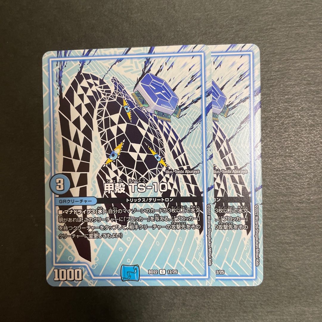 甲殻 TS-10 C 12/25