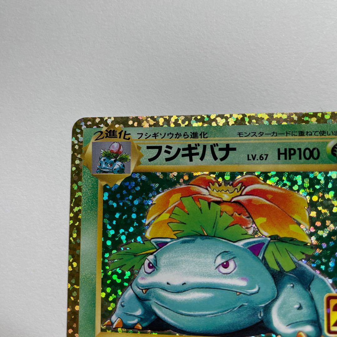 カメックス フシギバナ 25th