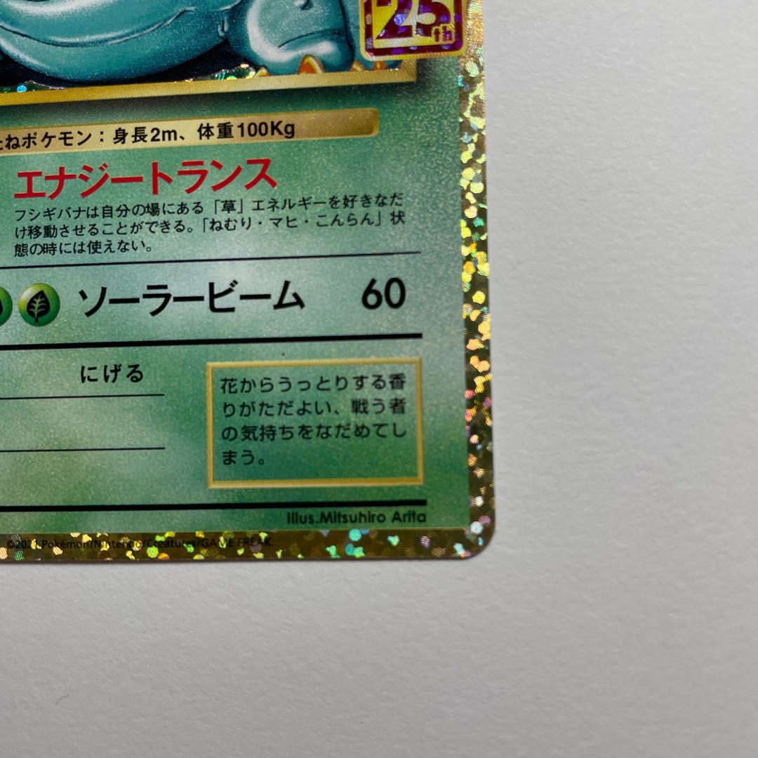 カメックス フシギバナ 25th