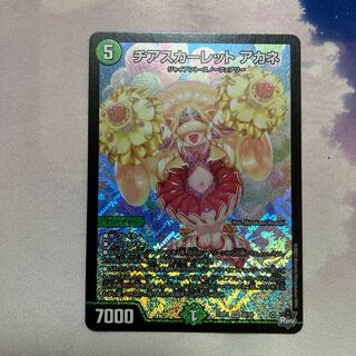 Cheer Scarlet Whitney SR S8/S8