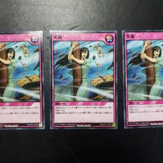 【0019】RD/KP01-JP048 突風