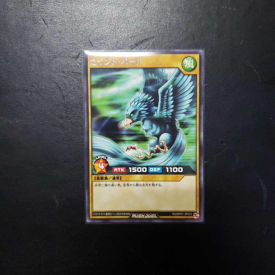 【0022】RD/KP01-JP012 セイント・バード