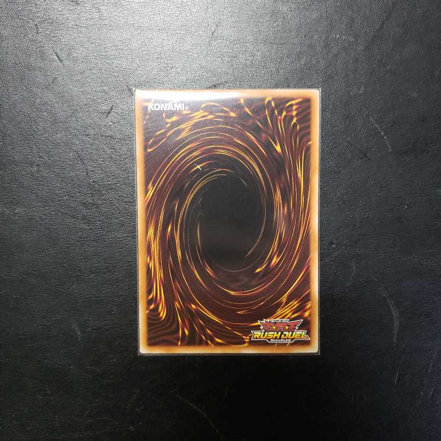 【0022】RD/KP01-JP012 セイント・バード