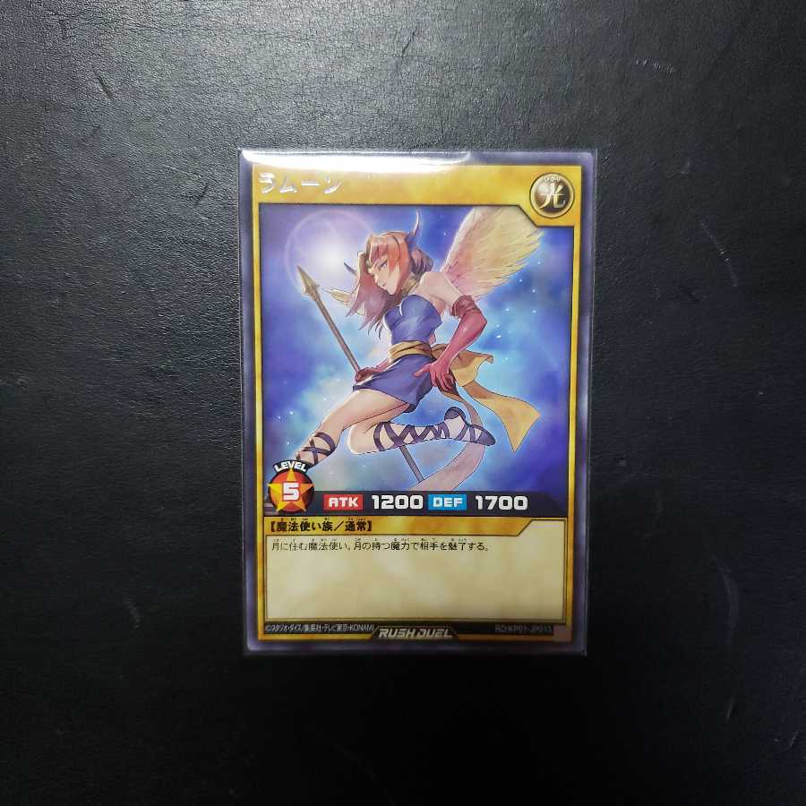 【0023】RD/KP01-JP013 ラムーン