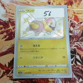 ワンパチ S 238/190 1枚