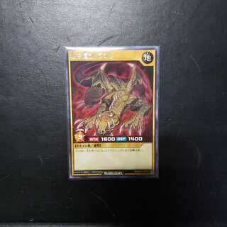 【0025】RD/KP01-JP015 地を這うドラゴン