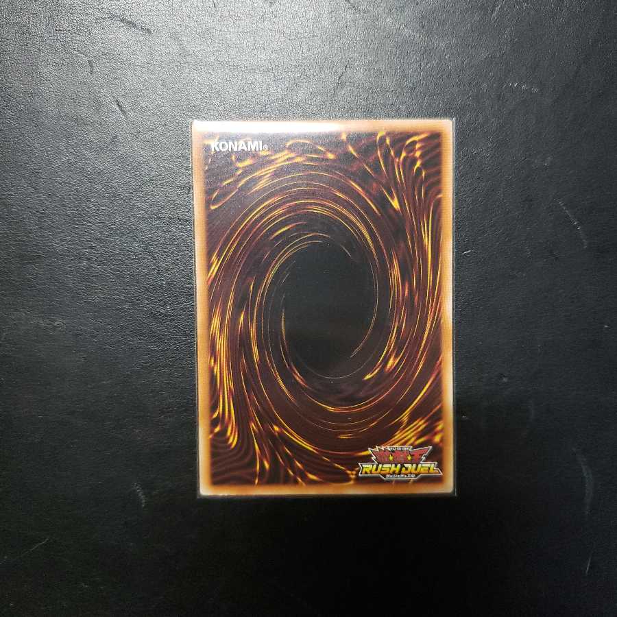 【0025】RD/KP01-JP015 地を這うドラゴン