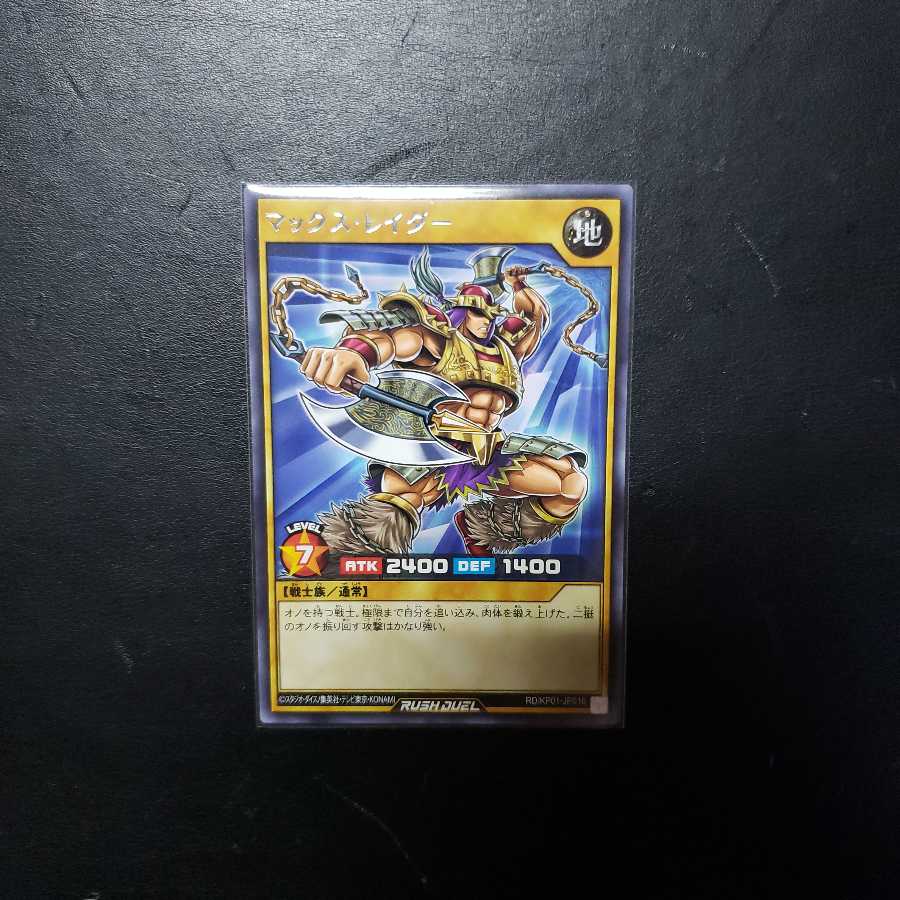 【0026】RD/KP01-JP016 マックス・レイダー