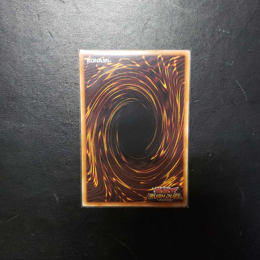 【0026】RD/KP01-JP016 マックス・レイダー