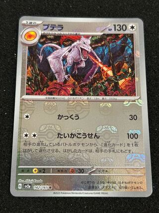 プテラ(マスターボール柄/ミラー仕様) R 142/165