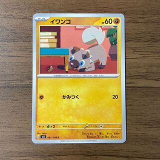 イワンコ C 061/108