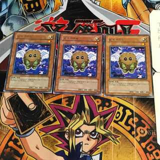 韓国版  ハネクリボー 1 レア 3枚セット てら