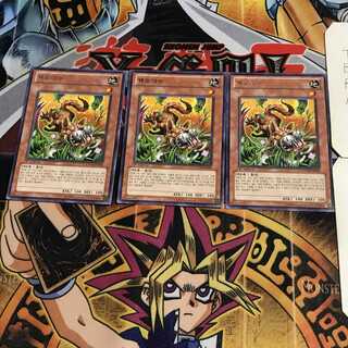 韓国版  除草獣 1 レア 3枚セット てら