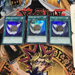 韓国版 バーサーカークラッシュ 5 スーパー 3枚セット てら