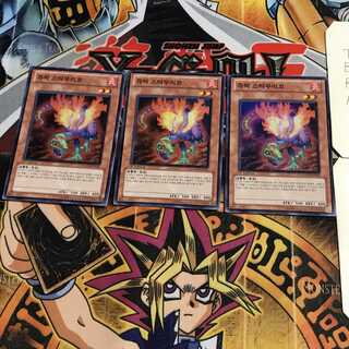 韓国版 ジュラック・スタウリコ 1 スーパー 3枚セット