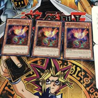 韓国版 ジュラック・スタウリコ 7 スーパー 3枚セット