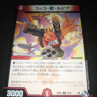 Cocco Bu Lupia R 19/74