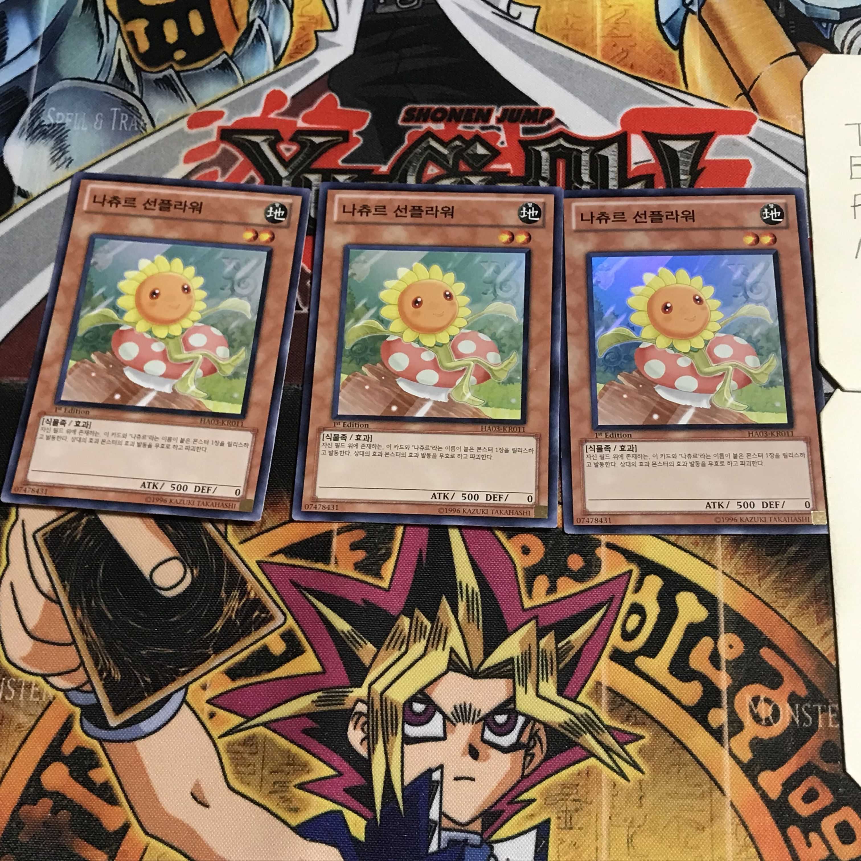 韓国版 ナチュル・サンフラワー 3 スーパー 3枚セット