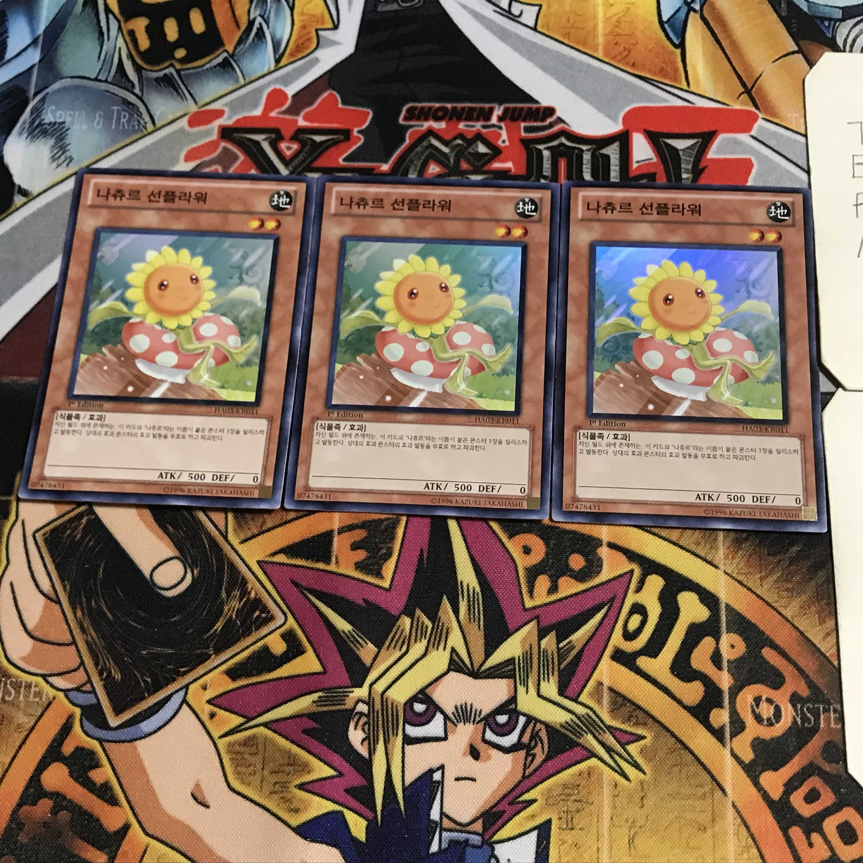 韓国版 ナチュル・サンフラワー 6 スーパー 3枚セット