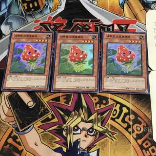 韓国版 ナチュル・ストロベリー 3 スーパー 3枚セット