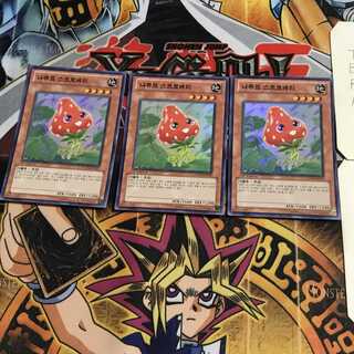 韓国版 ナチュル・ストロベリー 4 スーパー 3枚セット