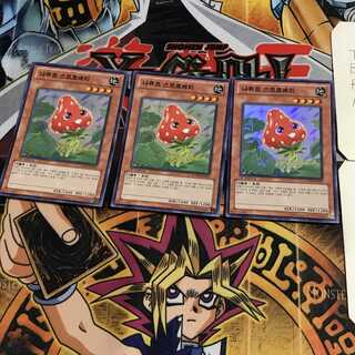 韓国版 ナチュル・ストロベリー 5 スーパー 3枚セット