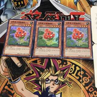 韓国版 ナチュル・ストロベリー 6 スーパー 3枚セット