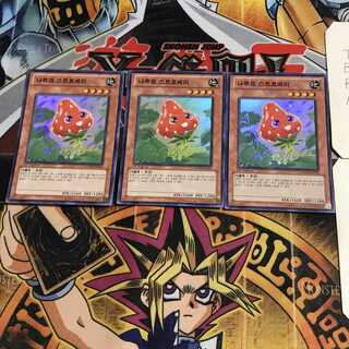 韓国版 ナチュル・ストロベリー 8 スーパー 3枚セット