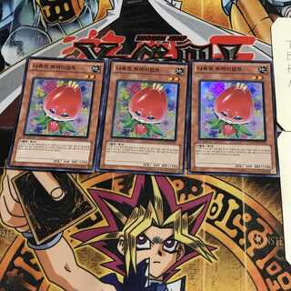 韓国版 ナチュル・トライアンフ 1 スーパー 3枚セット