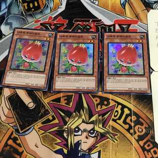 韓国版 ナチュル・トライアンフ 2 スーパー 3枚セット