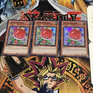 韓国版 ナチュル・トライアンフ 3 スーパー 3枚セット