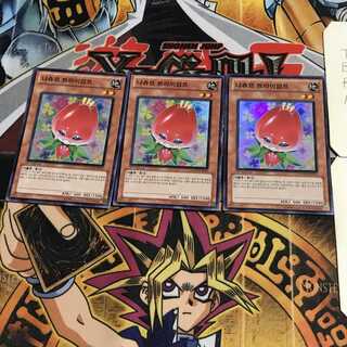 韓国版 ナチュル・トライアンフ 4 スーパー 3枚セット