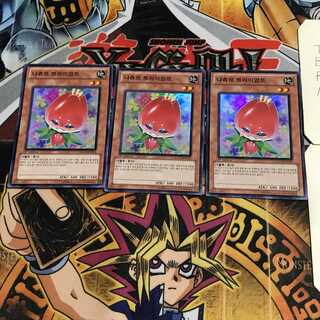 韓国版 ナチュル・トライアンフ 5 スーパー 3枚セット