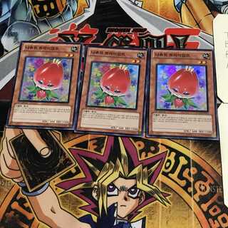 韓国版 ナチュル・トライアンフ 6 スーパー 3枚セット