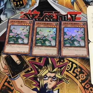 韓国版 ナチュル・ドラゴンフライ 1 スーパー 3枚セット