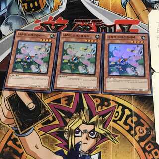 韓国版 ナチュル・ドラゴンフライ 2 スーパー 3枚セット