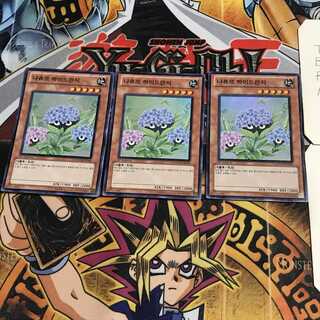 韓国版 ナチュル・ハイドランジー 1 スーパー 3枚セット