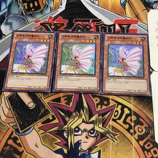 韓国版 ナチュル・バタフライ 1 スーパー 3枚セット