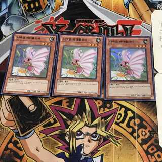 韓国版 ナチュル・バタフライ 2 スーパー 3枚セット